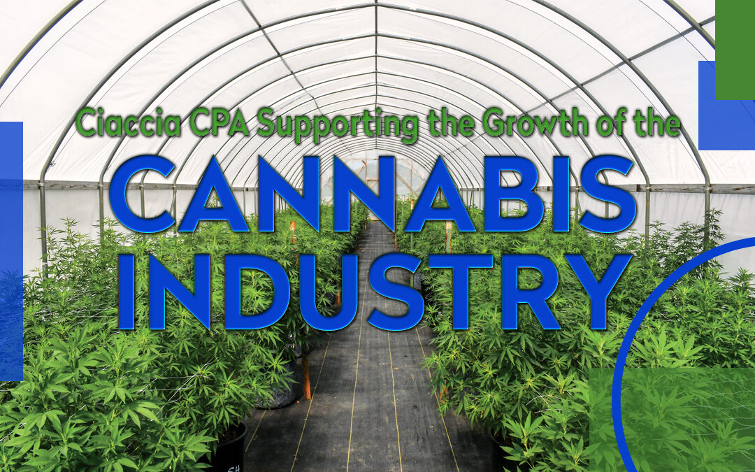 Ciaccia CPA: Supporting the Growth of the Cannabis Industry