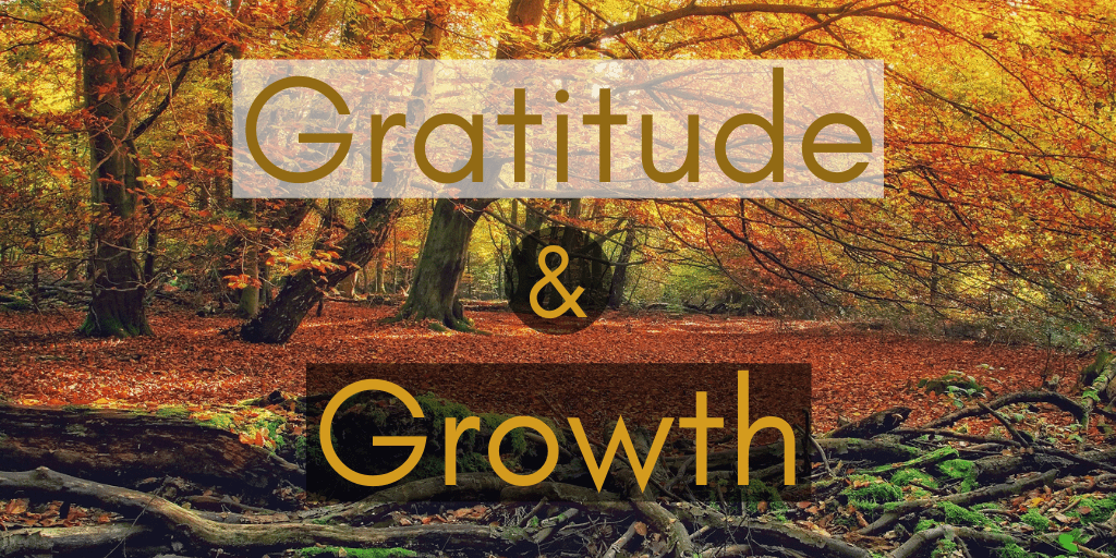 Giving Thanks for Another Year of Growth and Community